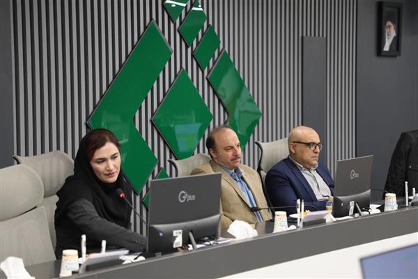 IRC Reviews Insurance Regulation No. 110 in Risk-Based Solvency Workshop